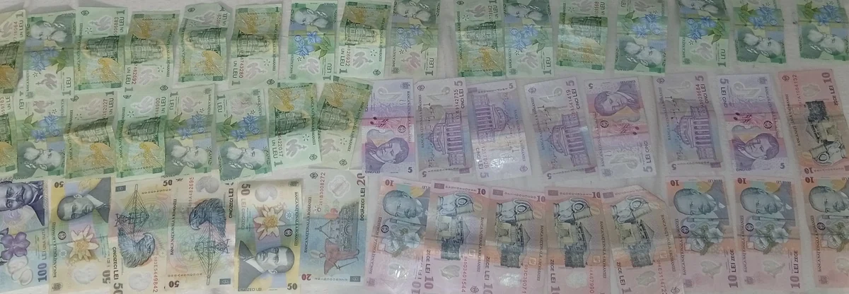 Romanian leu banknotes laid out in rows: 1, 5, 10, 20, 50 and 100 lei notes, September 2026