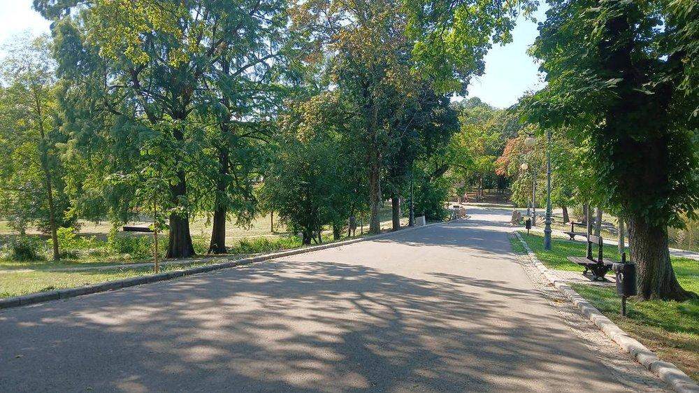 The main avenue — benches, lamps, shade
