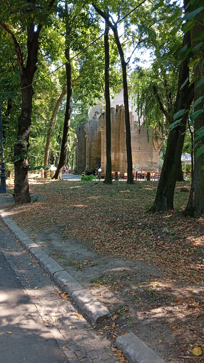 The castle seen from the avenue through the trees