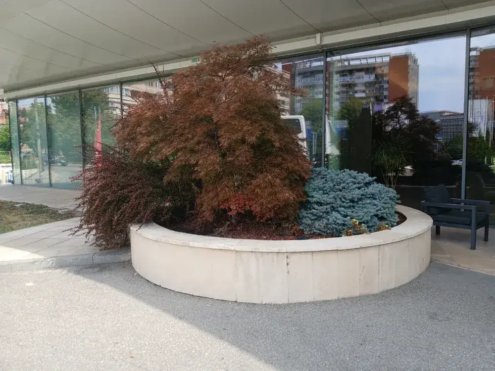 The planter at the entrance